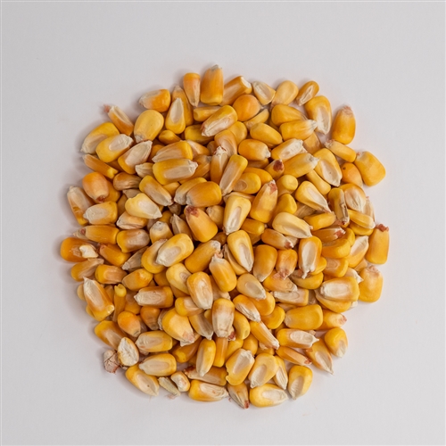 Grain, Yellow Corn, 50 lbs